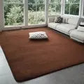Solid Coral Velvet Area Rug