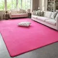 Solid Coral Velvet Area Rug
