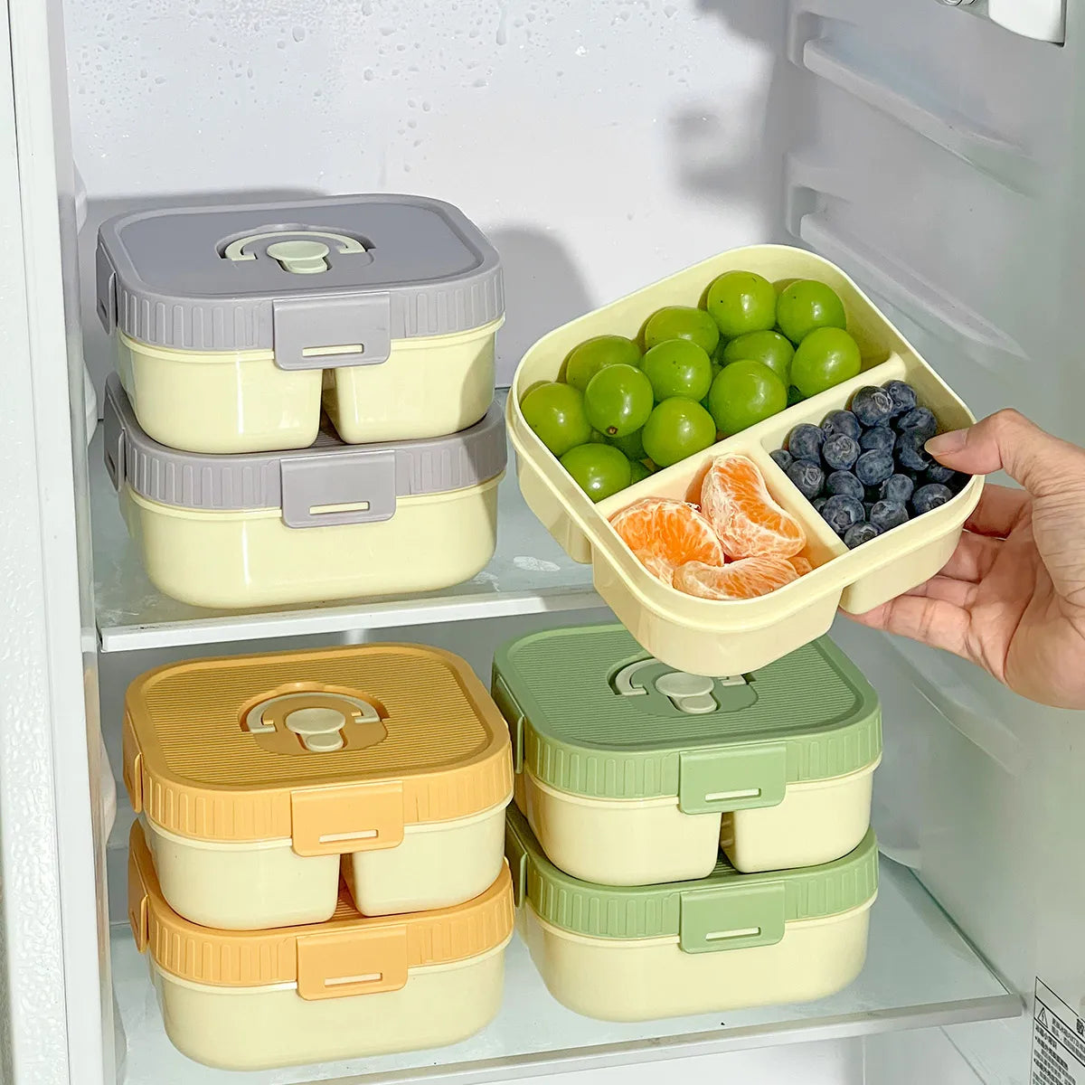 Compartmented Leakproof Lunch Box