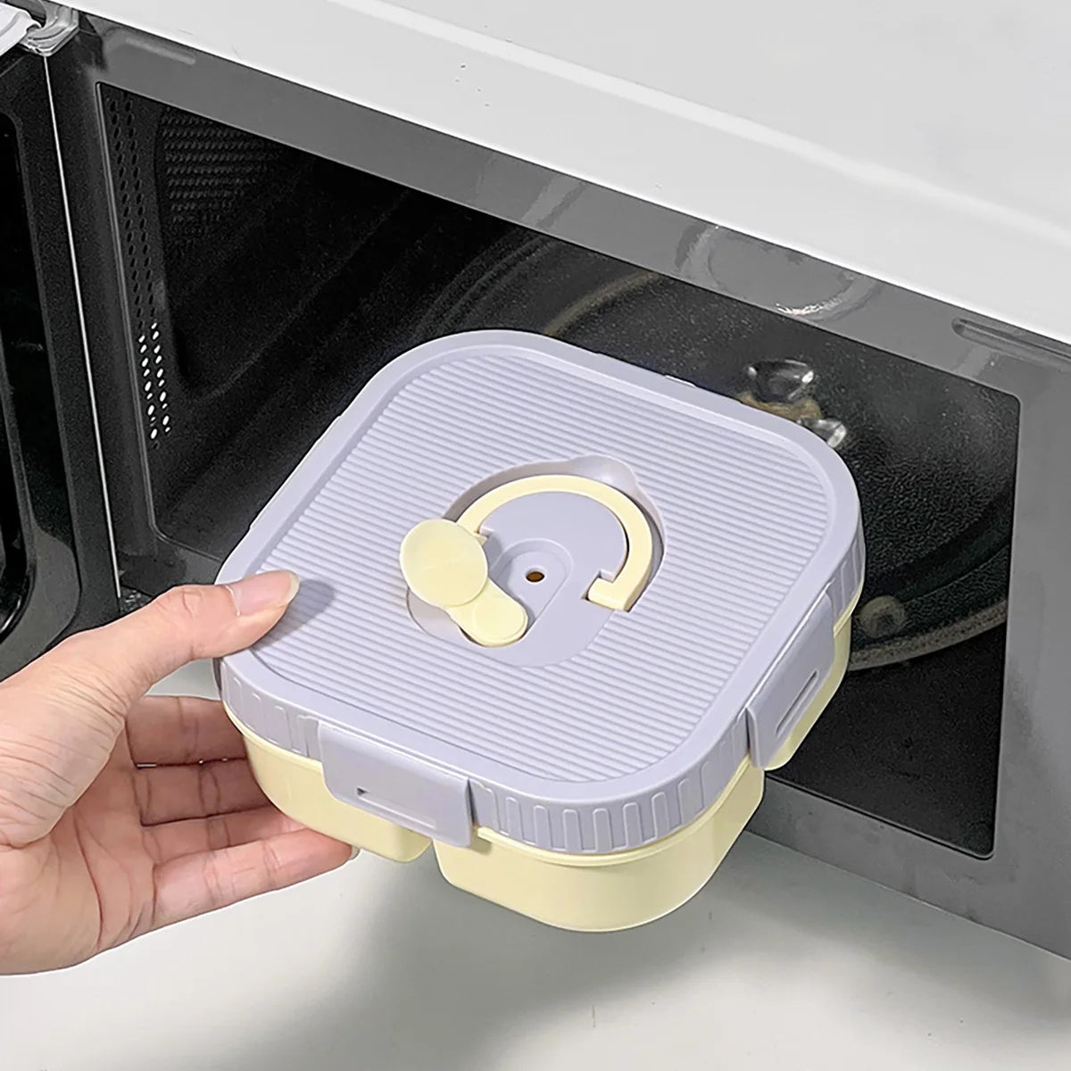 Compartmented Leakproof Lunch Box