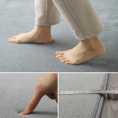 Solid Coral Velvet Area Rug