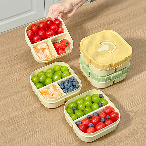 Compartmented Leakproof Lunch Box